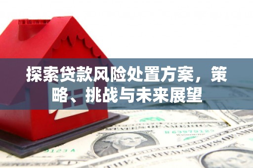 曲水探索贷款风险处置方案，策略、挑战与未来展望