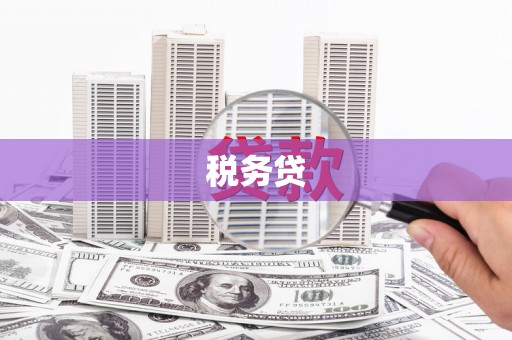 香洲税务贷