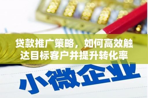 狮潭贷款推广策略，如何高效触达目标客户并提升转化率