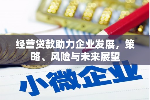 阜康经营贷款助力企业发展，策略、风险与未来展望