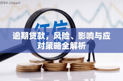 法库逾期贷款，风险、影响与应对策略全解析