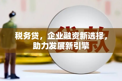 五河税务贷，企业融资新选择，助力发展新引擎