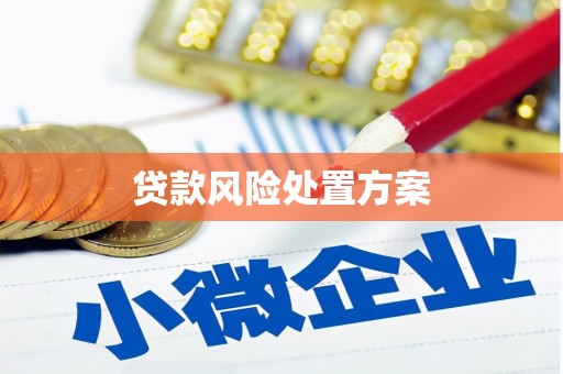 甘谷贷款风险处置方案