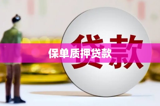 南充保单质押贷款
