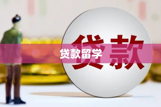 单县贷款留学