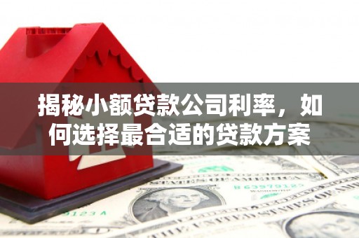 美姑揭秘小额贷款公司利率，如何选择最合适的贷款方案