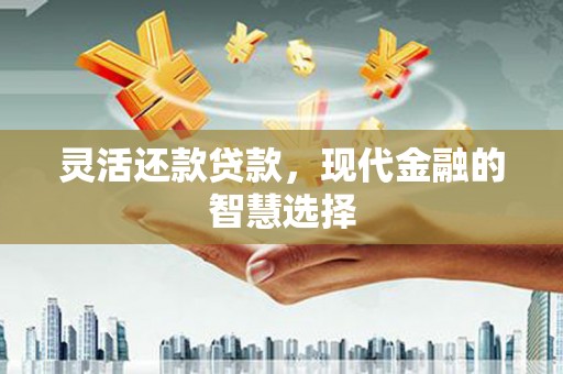 那坡灵活还款贷款，现代金融的智慧选择