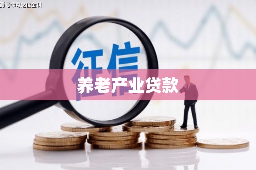 中宁养老产业贷款