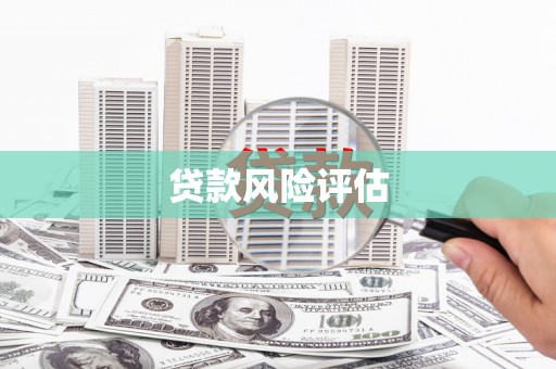 山西贷款风险评估