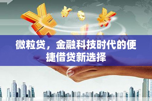 临朐微粒贷，金融科技时代的便捷借贷新选择