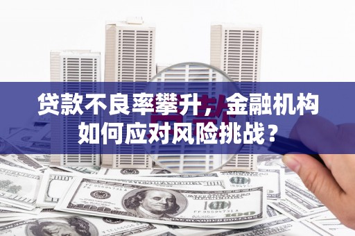 利川贷款不良率攀升，金融机构如何应对风险挑战？