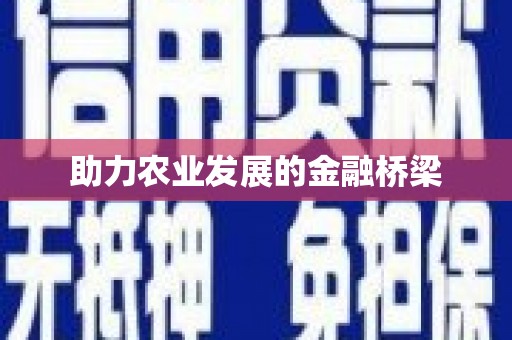 望奎助力农业发展的金融桥梁