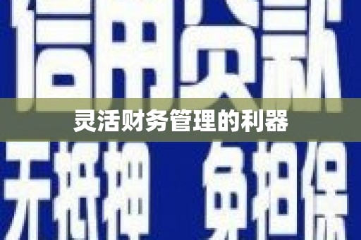 东乡族灵活财务管理的利器