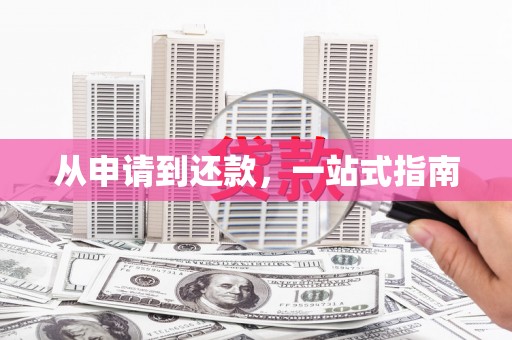 玛曲从申请到还款，一站式指南