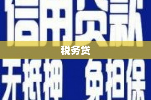 五原税务贷