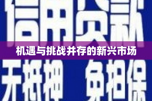 潼关机遇与挑战并存的新兴市场