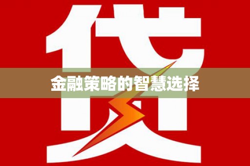 澜沧金融策略的智慧选择