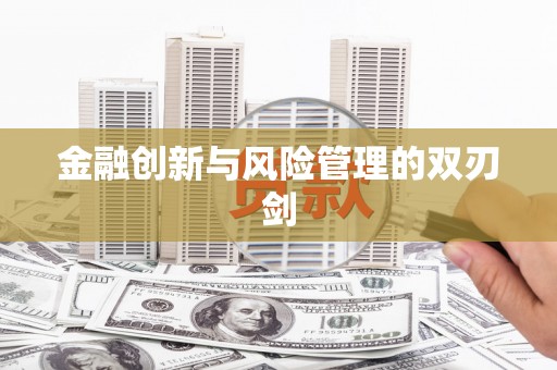 山上金融创新与风险管理的双刃剑