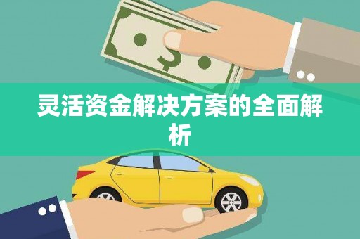 正蓝旗灵活资金解决方案的全面解析