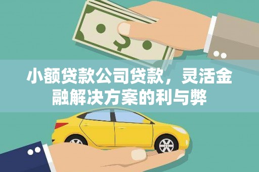 稷山小额贷款公司贷款，灵活金融解决方案的利与弊