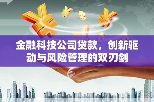 端州金融科技公司贷款，创新驱动与风险管理的双刃剑
